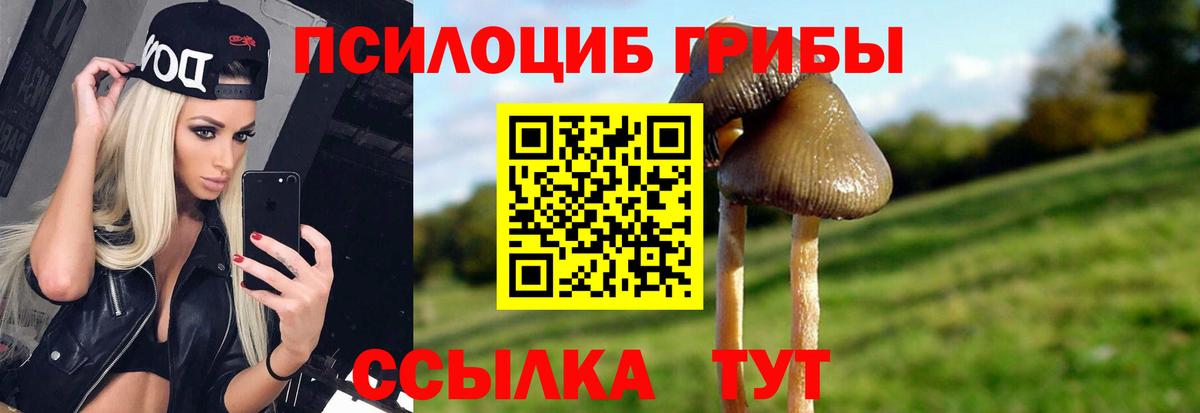 Псилоцибиновые грибы MAGIC MUSHROOMS  Вход с VPN  Псилоцибиновые грибы прущие грибы  Первоуральск 